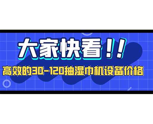 高效的30-120抽濕巾機設備價格