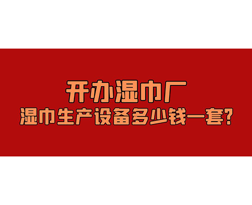 開辦濕巾廠，濕巾生產設備多少錢一套？