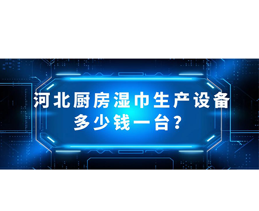 河北廚房濕巾生產設備多少錢一臺？